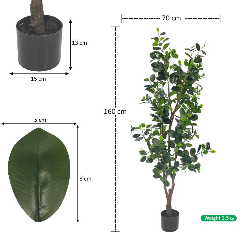 Artificial Ficus Plant 160cm Tall(with black nursery pot) - Image 3