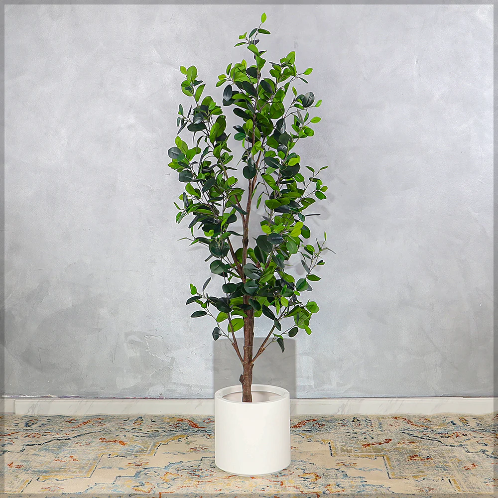 Artificial Ficus Plant 160cm Tall(with black nursery pot) - Image 7