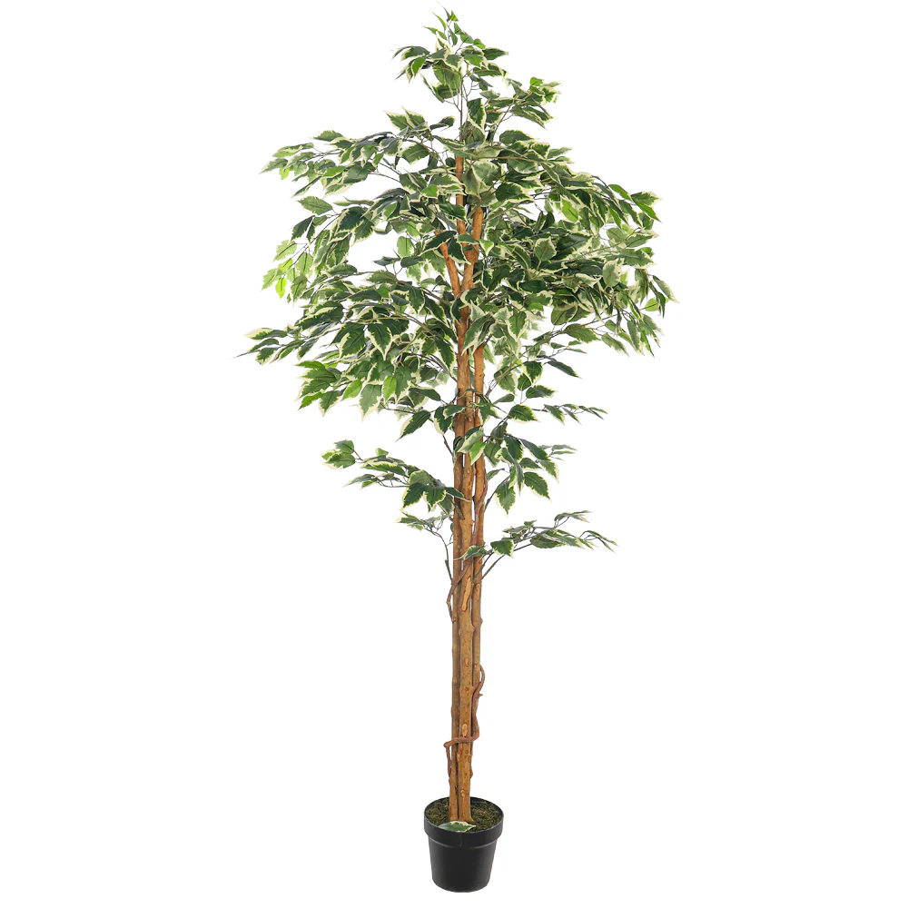 Artificial Ficus Plant 180cm Tall