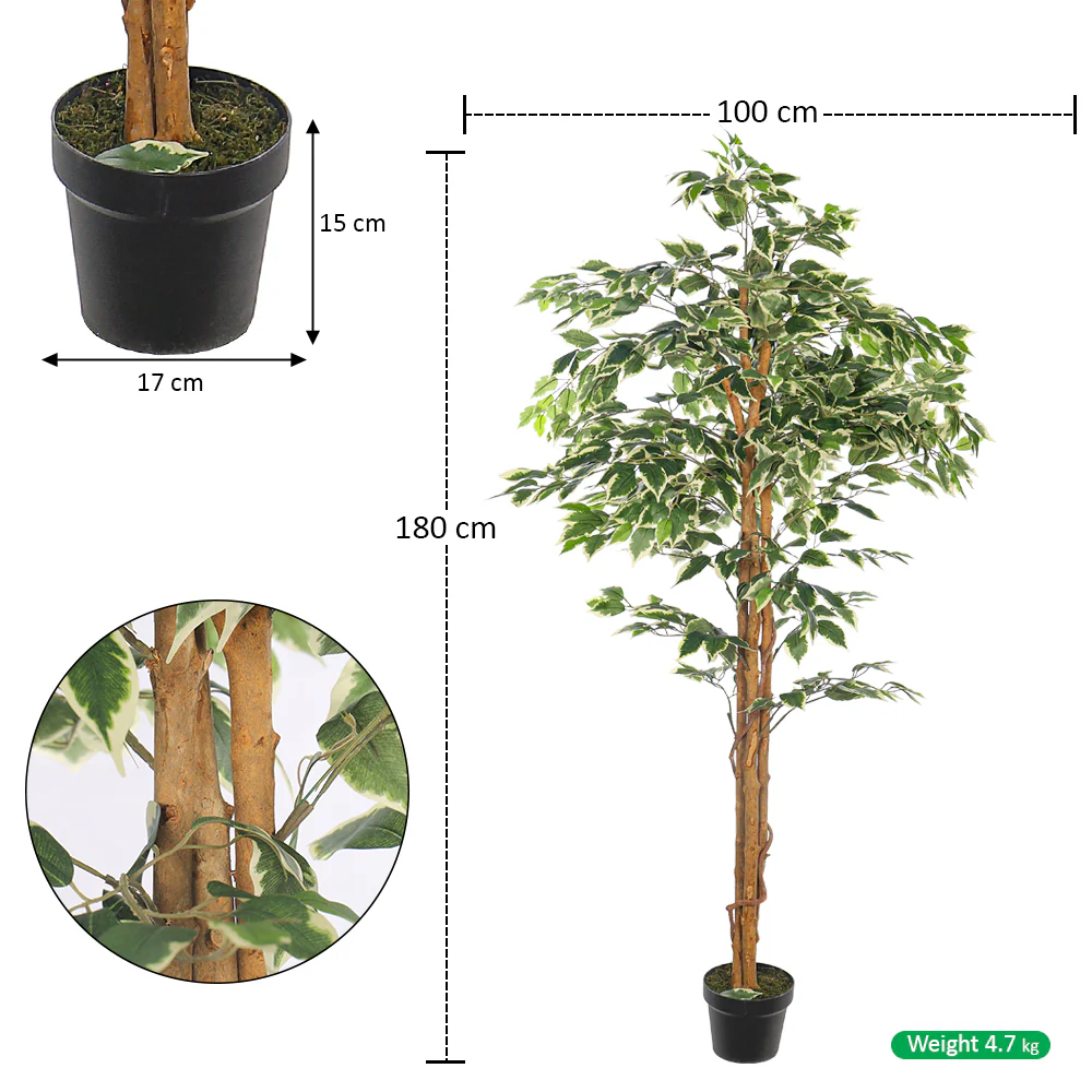 Artificial Ficus Plant 180cm Tall - Image 2