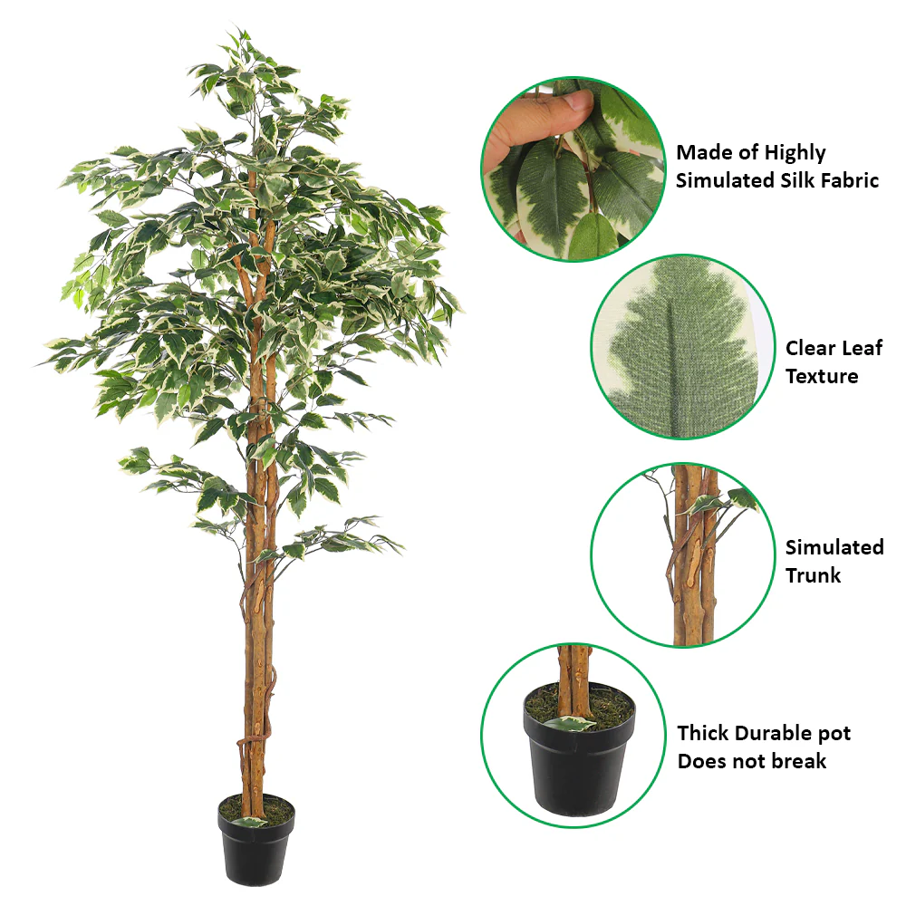 Artificial Ficus Plant 180cm Tall - Image 3