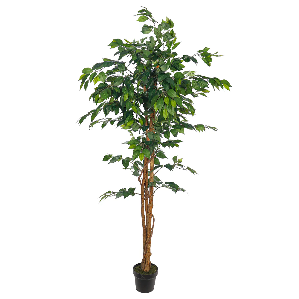 Artificial Ficus Plant 180cm Tall - Image 5