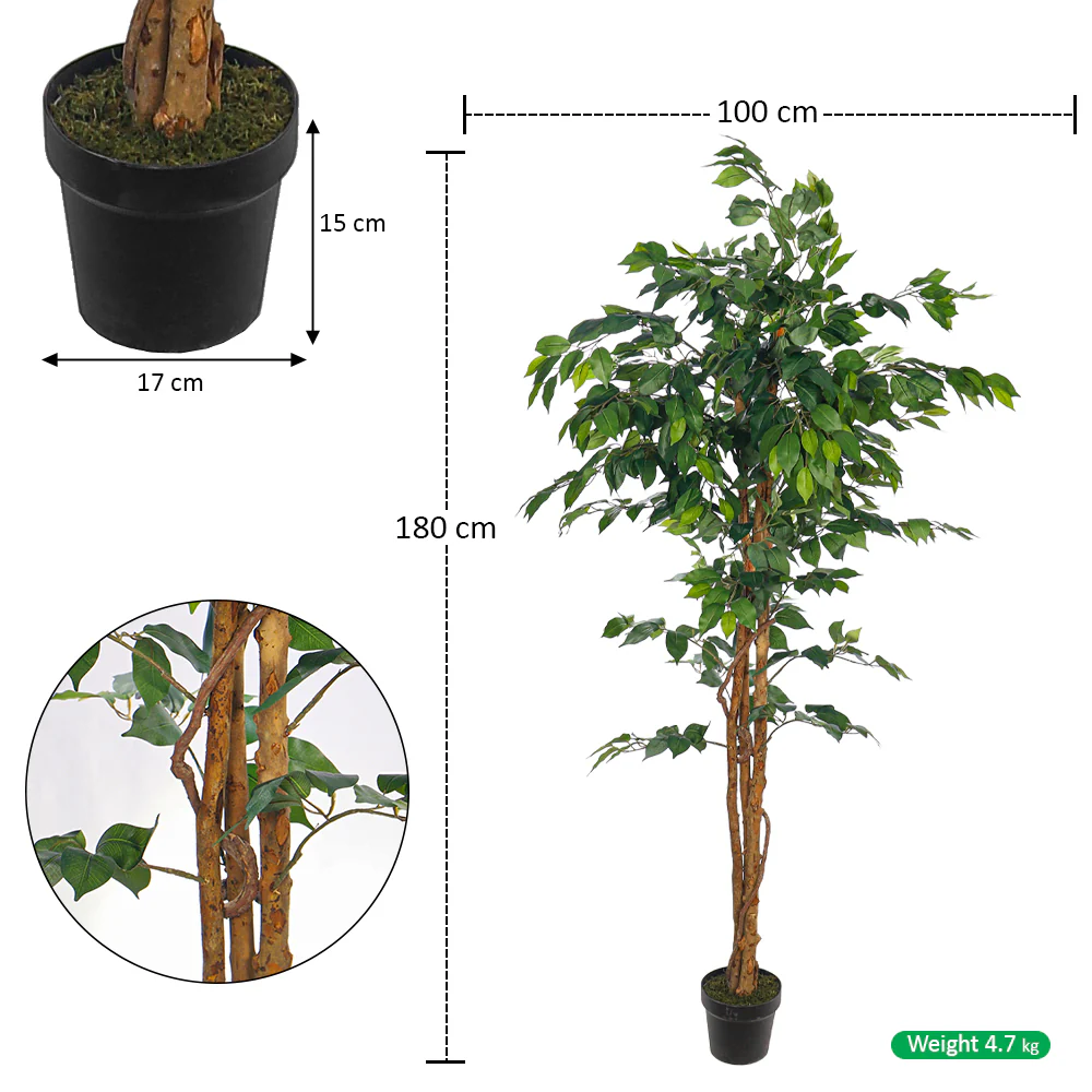 Artificial Ficus Plant 180cm Tall - Image 6