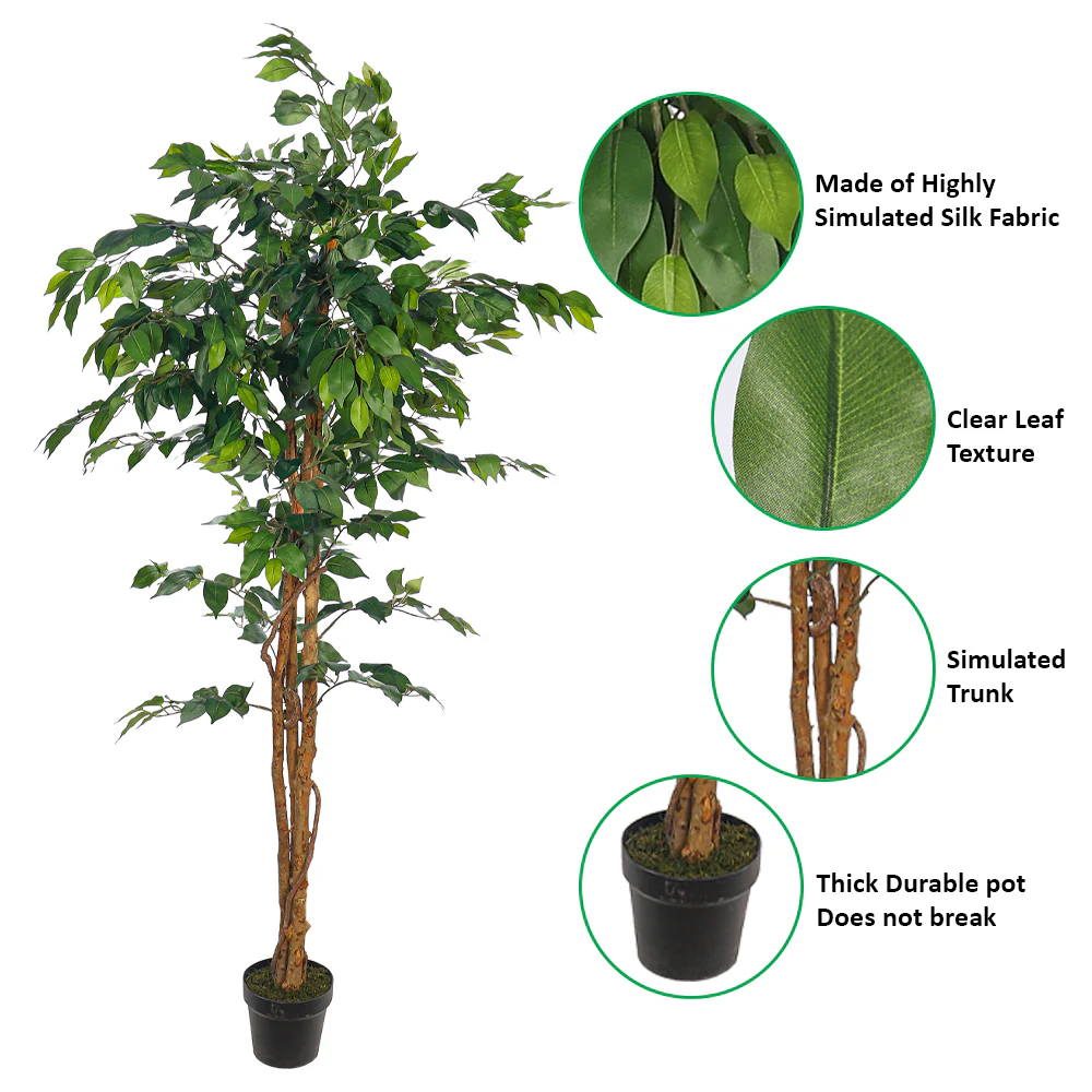 Artificial Ficus Plant 180cm Tall - Image 7