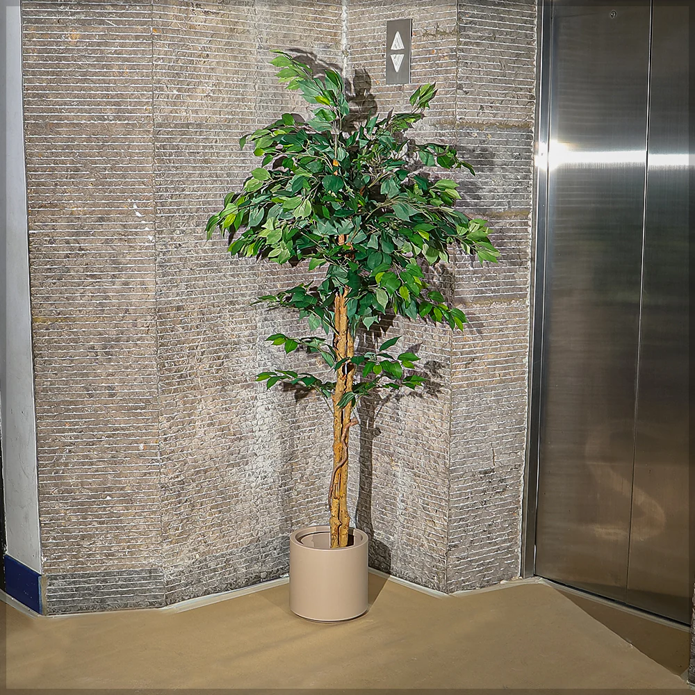Artificial Ficus Plant 180cm Tall - Image 8