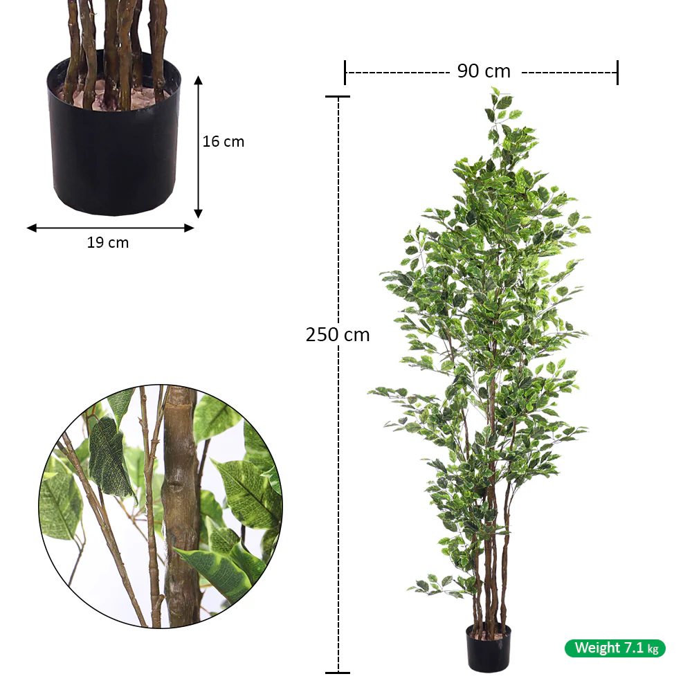 Artificial Ficus Plant 250cm Tall - Image 2