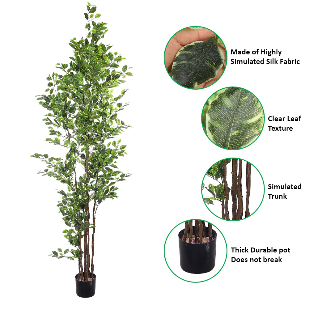 Artificial Ficus Plant 250cm Tall - Image 3