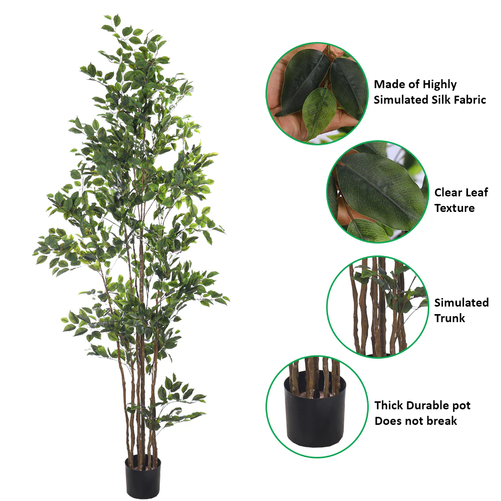 Artificial Ficus Plant 250cm Tall - Image 7