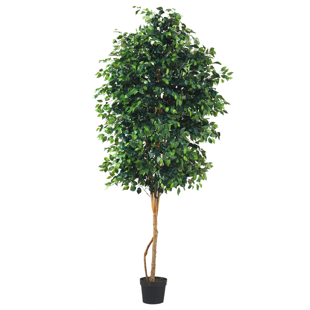 Artificial Ficus Plant 305cm High