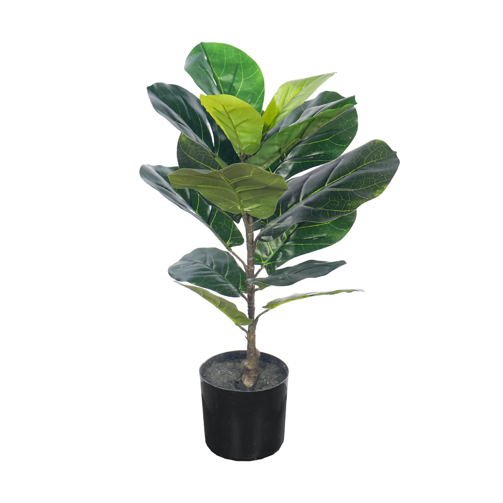 Artificial Fiddle Leaf Fig Plant 60cm Tall(with black nursery pot) - Image 4