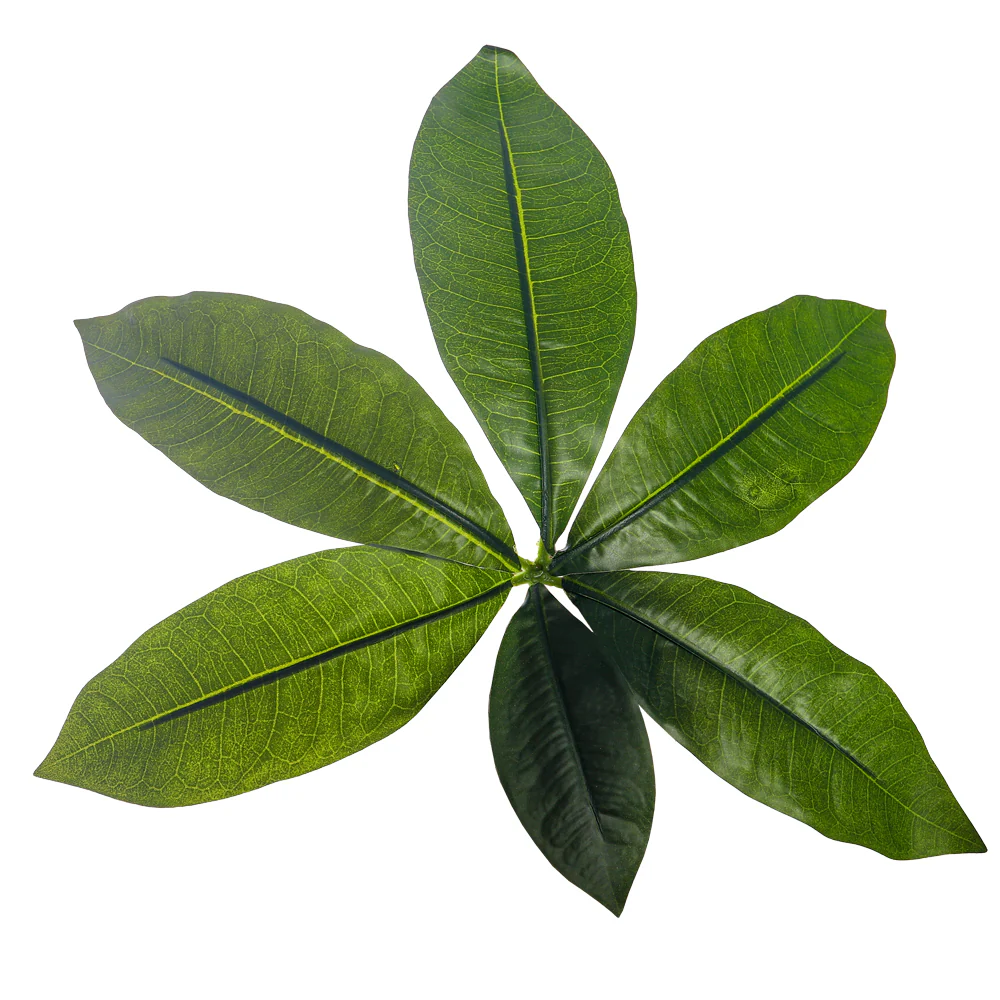 Artificial Fortune Tree Plant 135cm Tall - Image 3