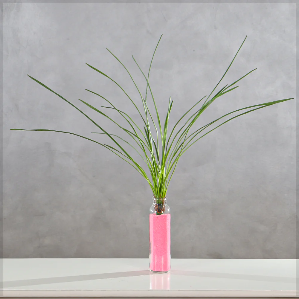 Artificial Grass Plant(without vase)
