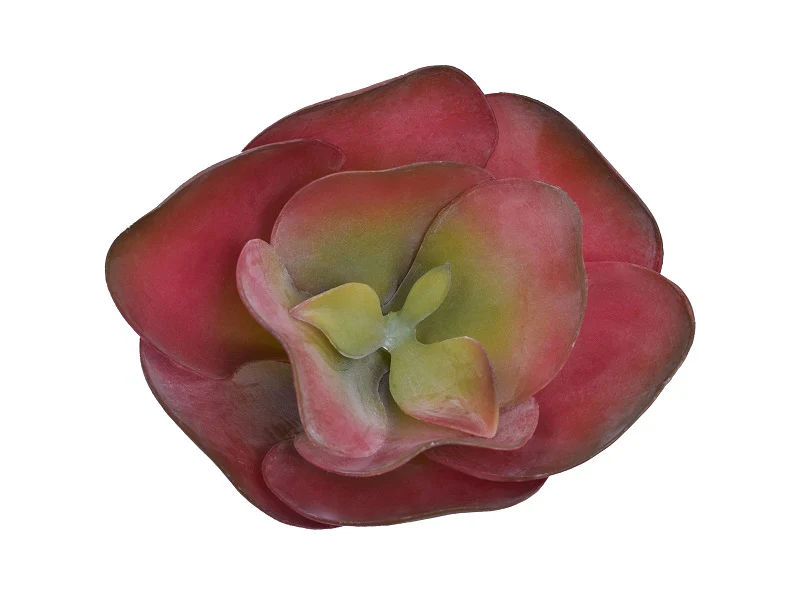 Artificial Kalanchoe Thyrsiflora Succulent Plants - Image 12