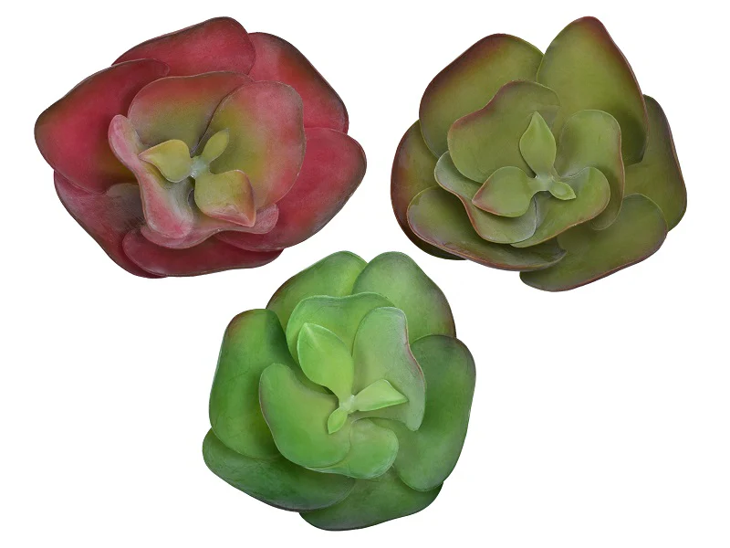 Artificial Kalanchoe Thyrsiflora Succulent Plants - Image 2