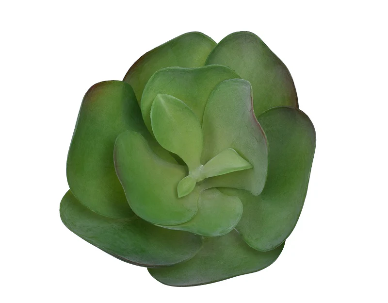 Artificial Kalanchoe Thyrsiflora Succulent Plants - Image 4