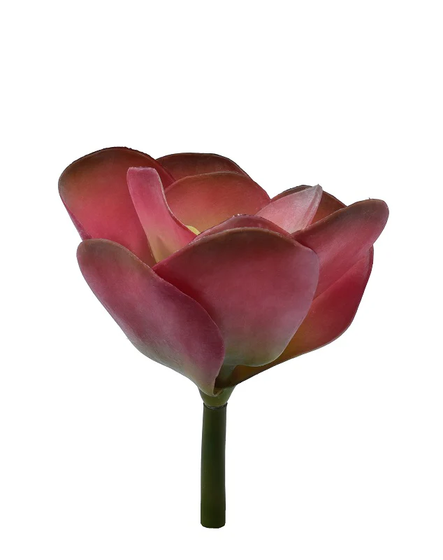 Artificial Kalanchoe Thyrsiflora Succulent Plants - Image 7