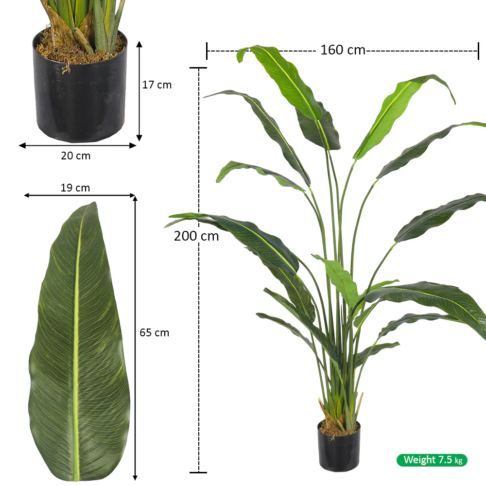 Artificial Paradise Plant 200cm Tall - Image 3