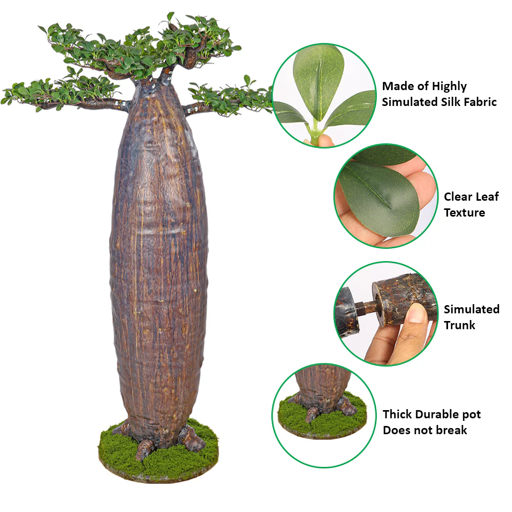 Artificial Potted Baobab Plants - Image 22