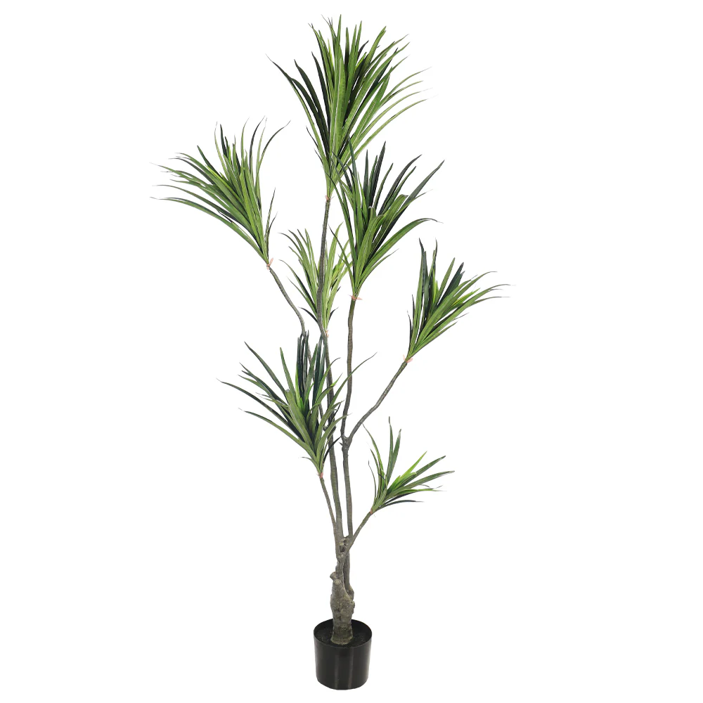 Artificial Potted Dracaena Marginata Plant(with black nursery pot) - Image 2