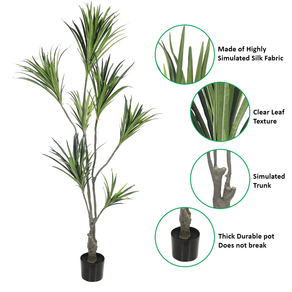 Artificial Potted Dracaena Marginata Plant(with black nursery pot) - Image 6