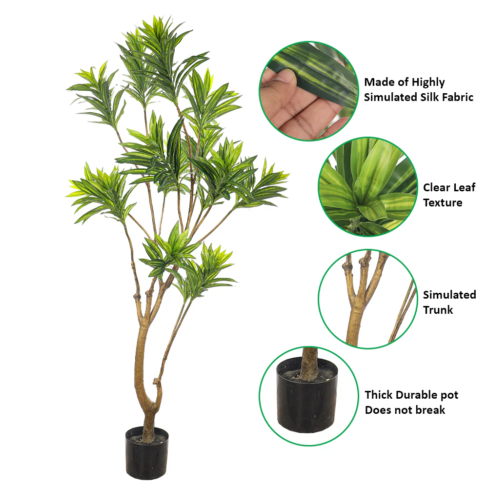 Artificial Potted Dracaena Reflexa(with black nursery pot) - Image 10