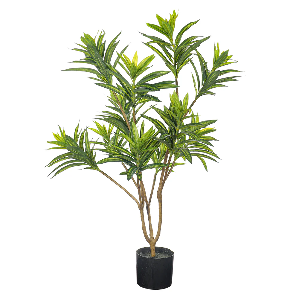 Artificial Potted Dracaena Reflexa(with black nursery pot) - Image 2