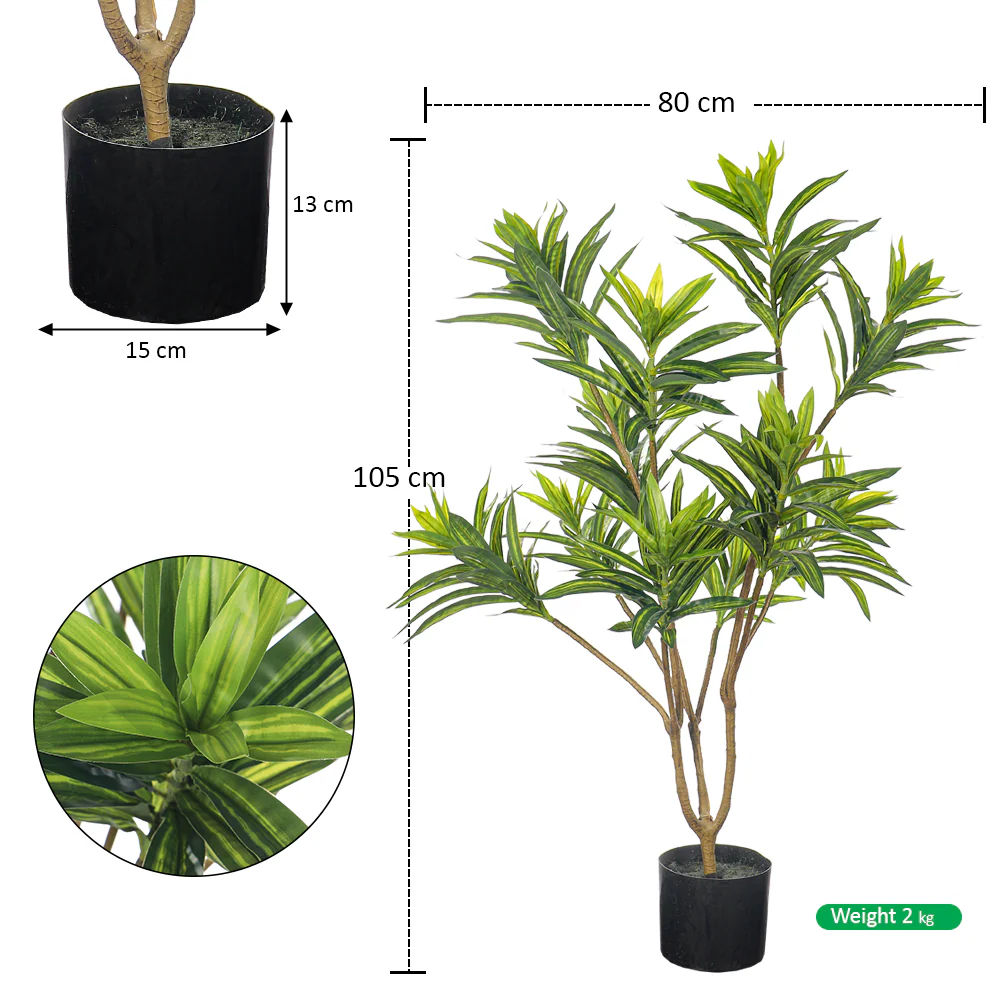 Artificial Potted Dracaena Reflexa(with black nursery pot) - Image 3