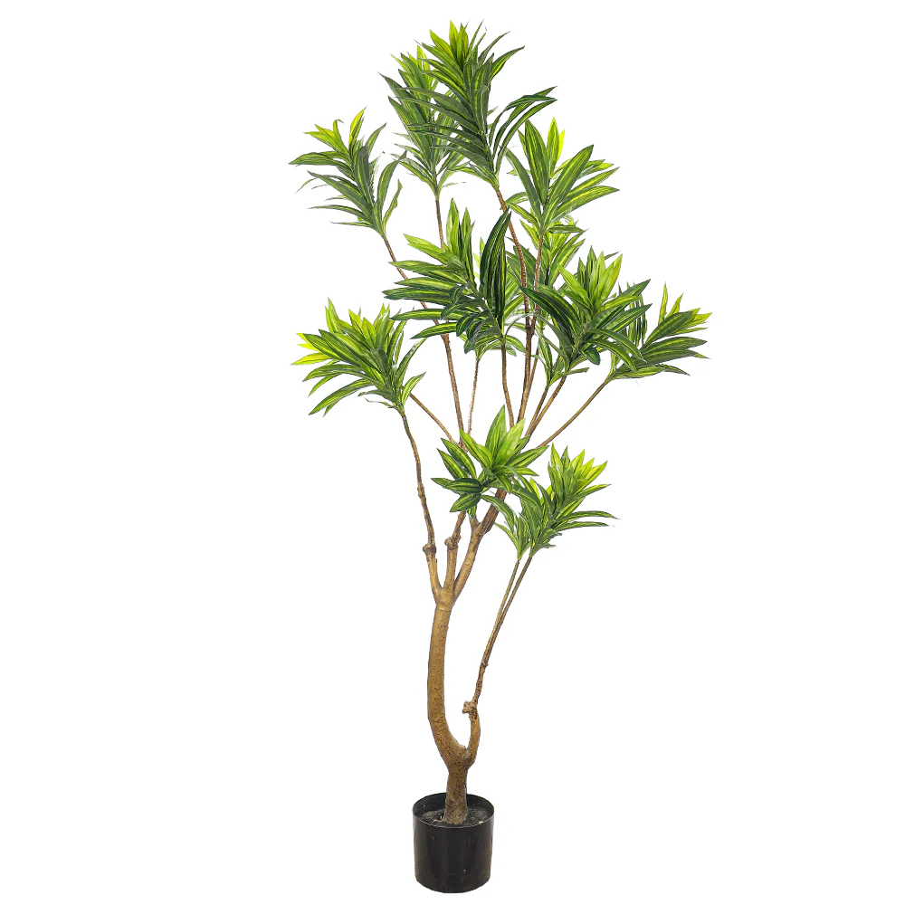 Artificial Potted Dracaena Reflexa(with black nursery pot) - Image 6