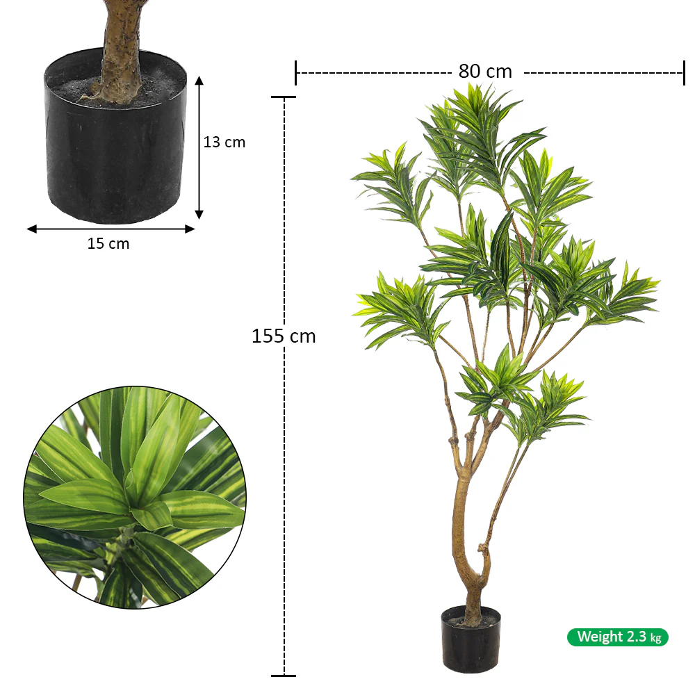 Artificial Potted Dracaena Reflexa(with black nursery pot) - Image 7