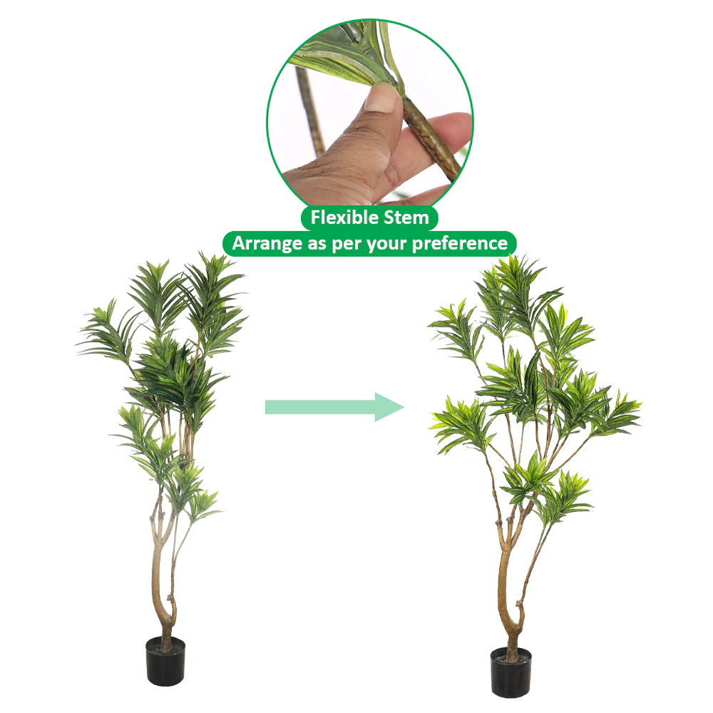 Artificial Potted Dracaena Reflexa(with black nursery pot) - Image 8