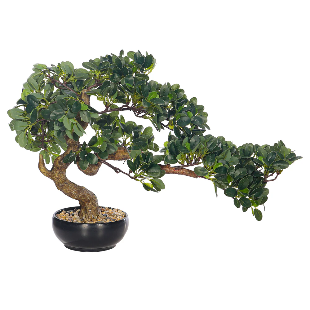 Artificial Potted Ficus Bonsai Plant - Image 24