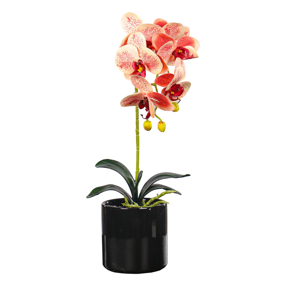 Artificial Potted Orchid Flowers Multicolor - Image 6