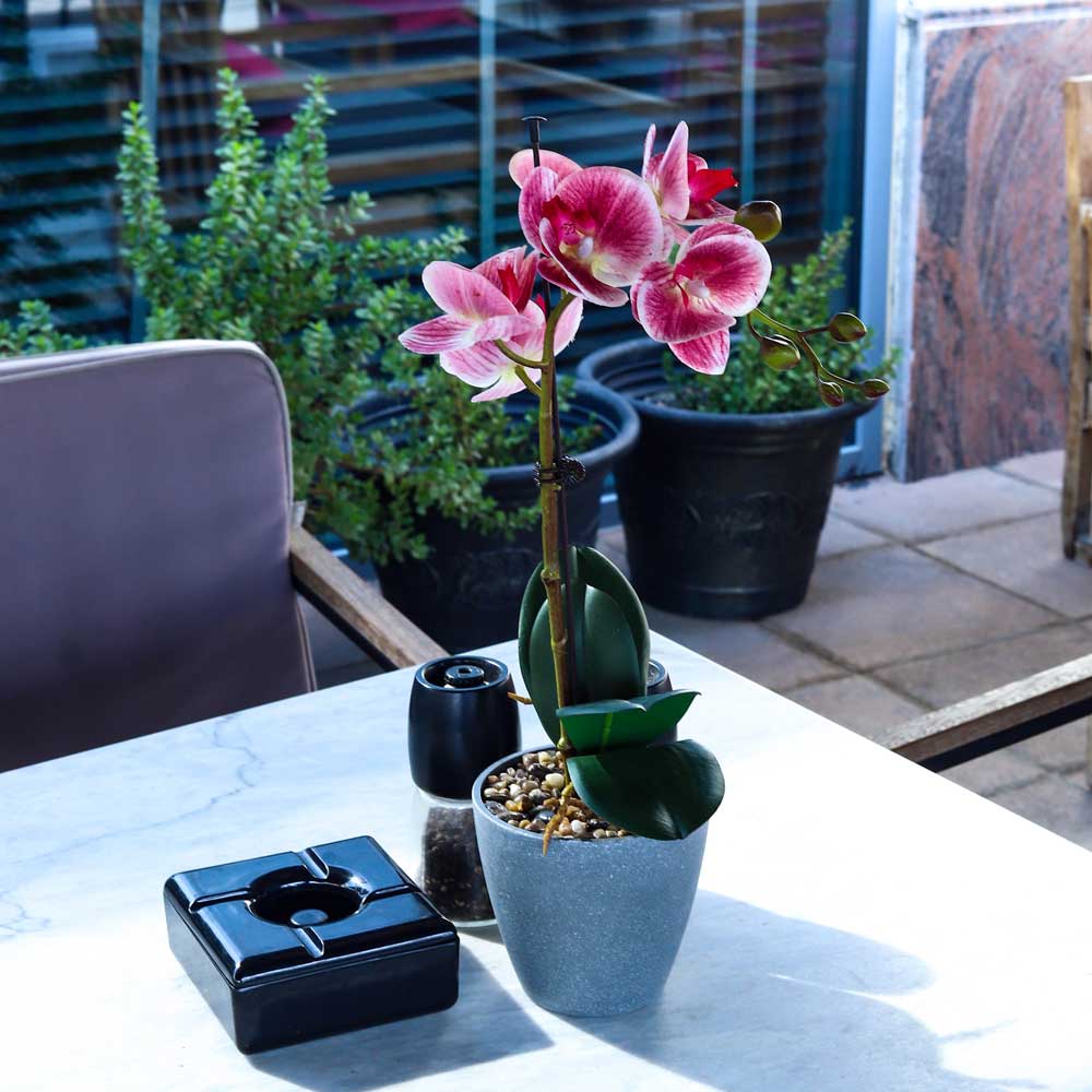 Artificial Potted Phalaenopsis Flower - Image 10