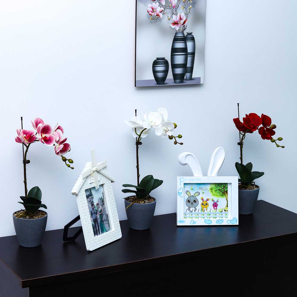 Artificial Potted Phalaenopsis Flower - Image 13