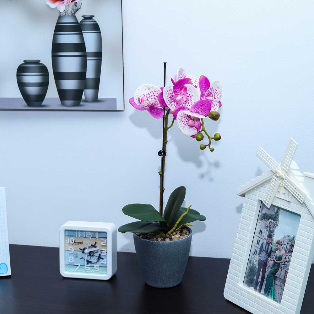 Artificial Potted Phalaenopsis Flower - Image 17