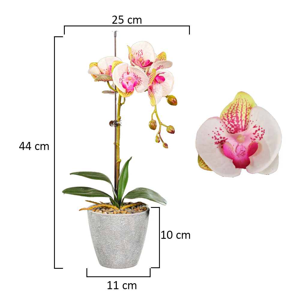 Artificial Potted Phalaenopsis Flower - Image 2
