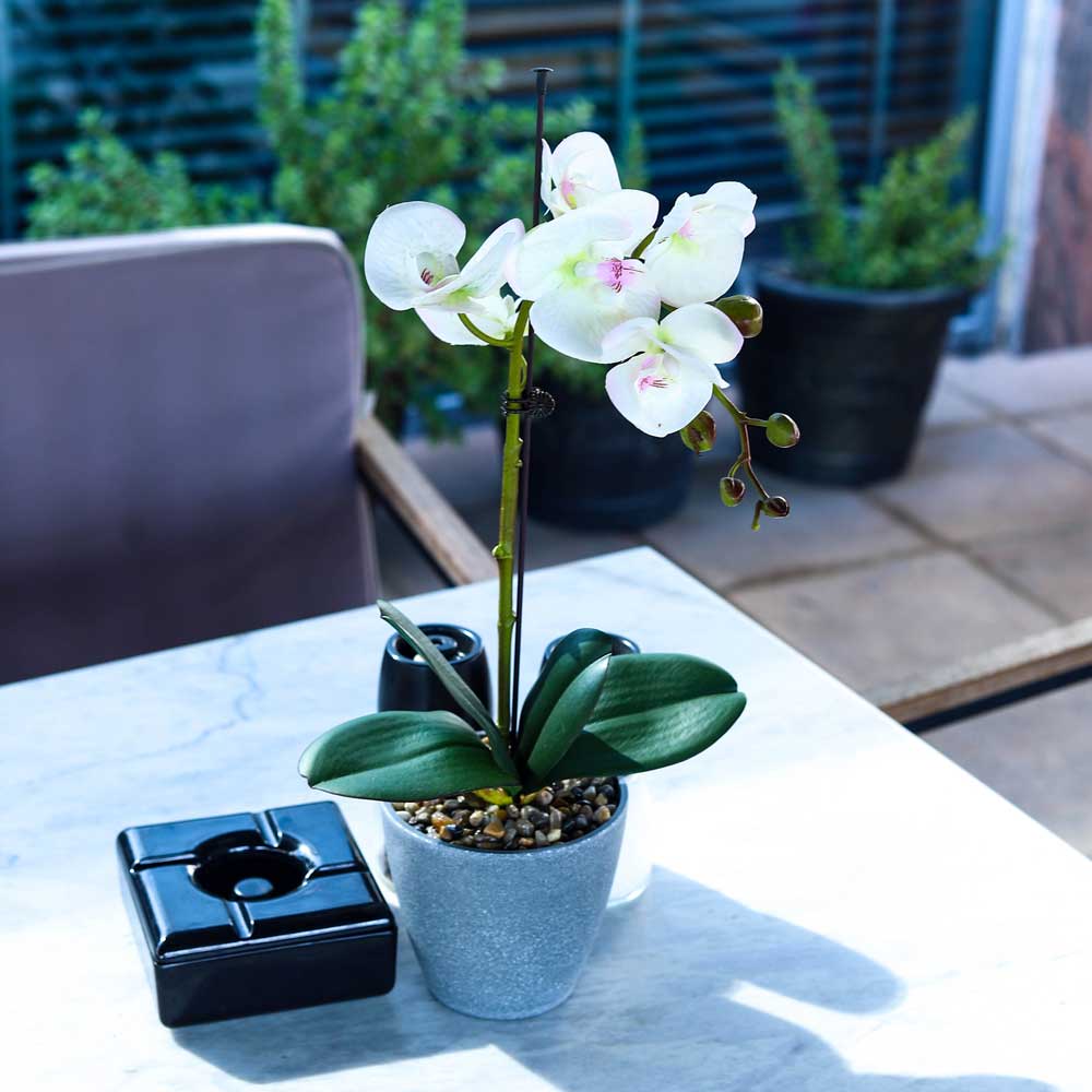 Artificial Potted Phalaenopsis Flower - Image 20