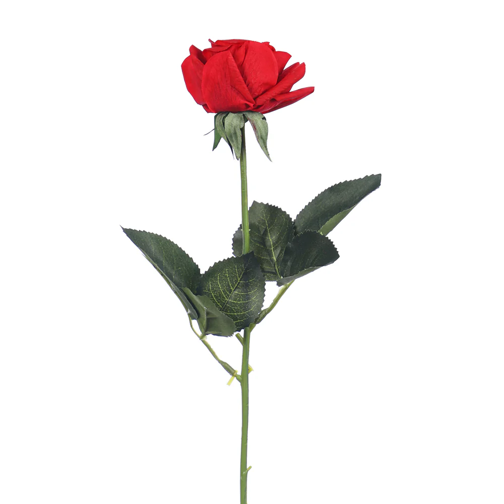 Artificial Real Touch Rose Flower Single Stem (without vase) - Image 4