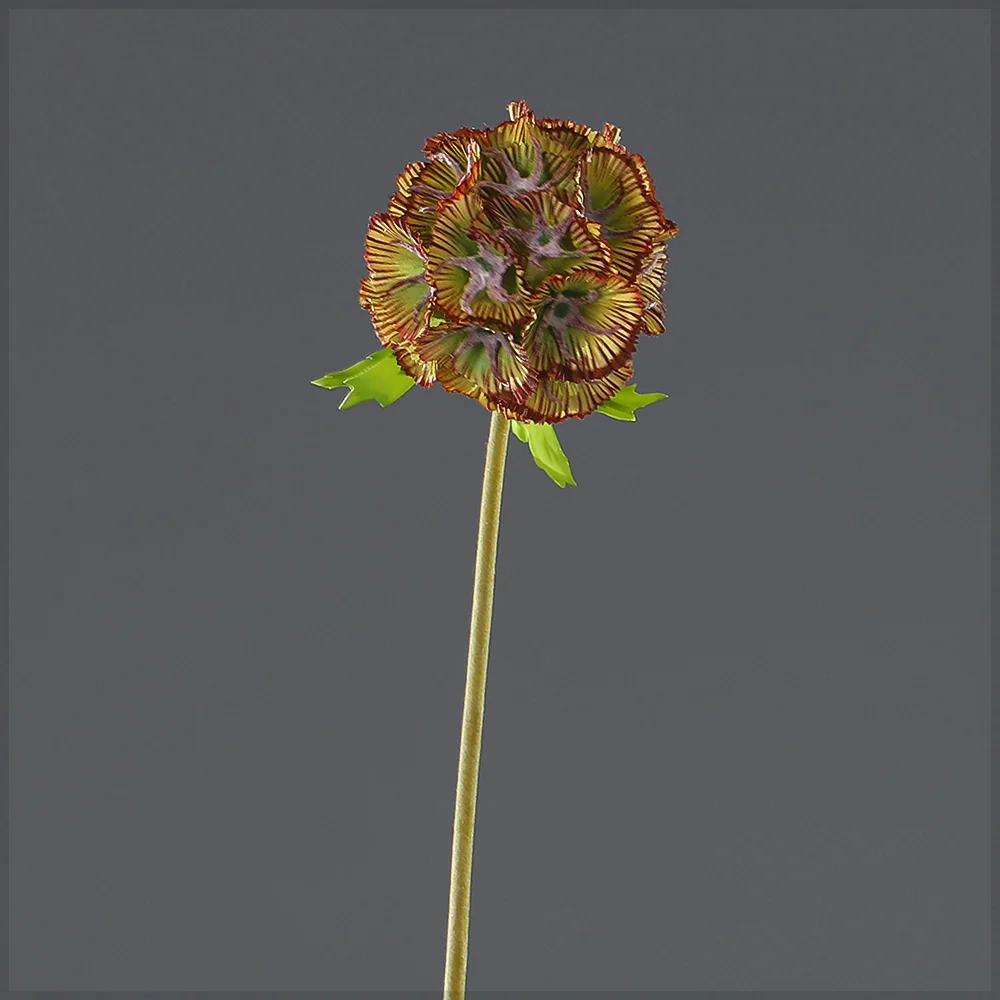 Artificial Scabiosa Pods Flower Stem - Image 5