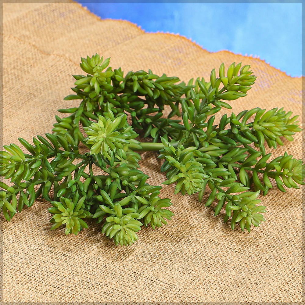 Artificial Sedum Pick Succulent Plant(without vase) - Image 8