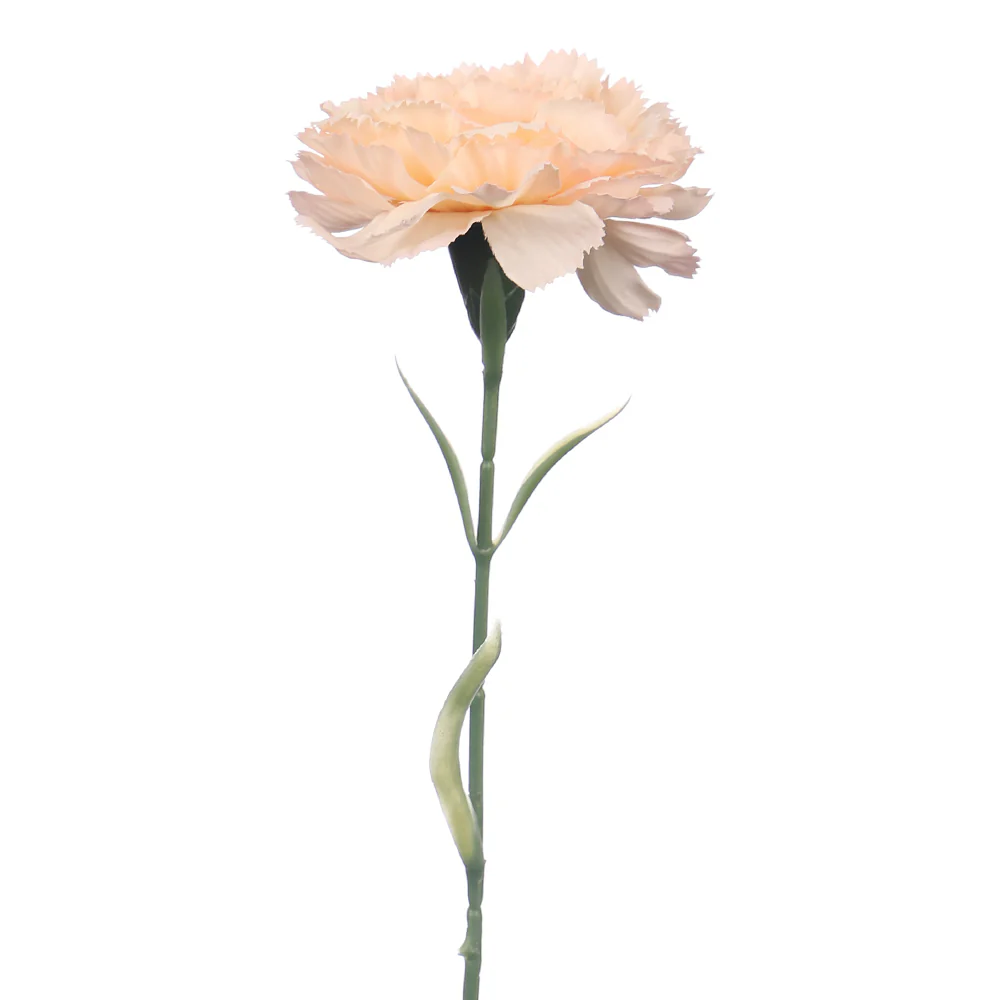 Artificial Single Stem Carnation Flowers(without glass vase) - Image 15