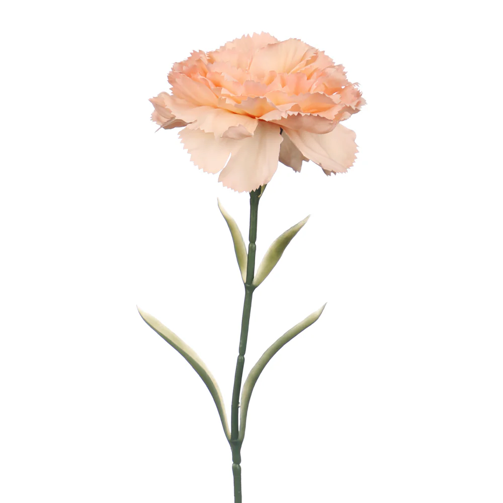 Artificial Single Stem Carnation Flowers(without glass vase) - Image 18
