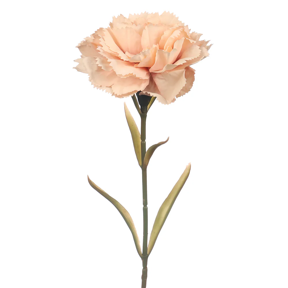 Artificial Single Stem Carnation Flowers(without glass vase) - Image 36