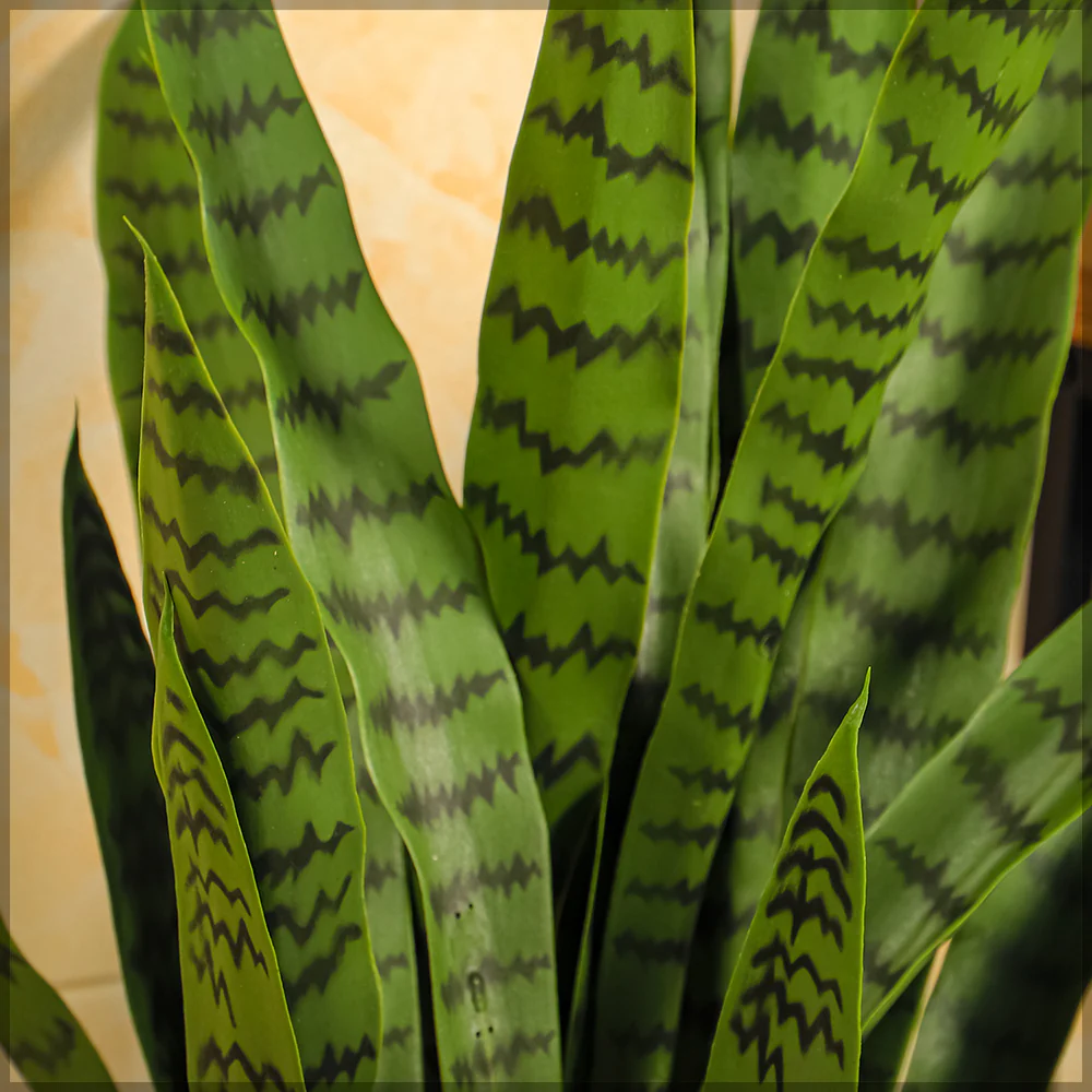 Artificial Snake Plant - Image 11