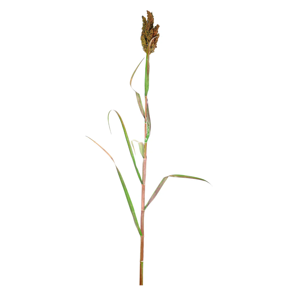 Artificial Sorghum Plant Single Stem(without vase) - Image 7