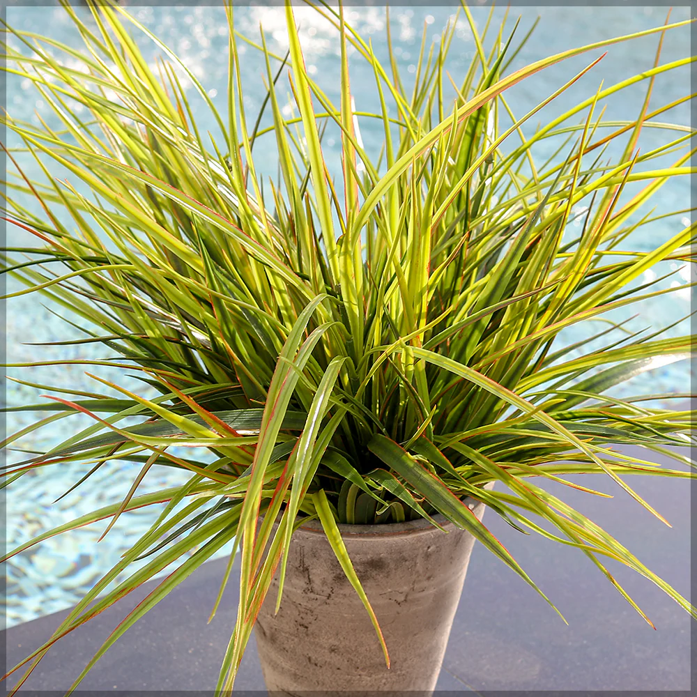 Artificial Sword Grass Single Bunch (without vase) - Image 5