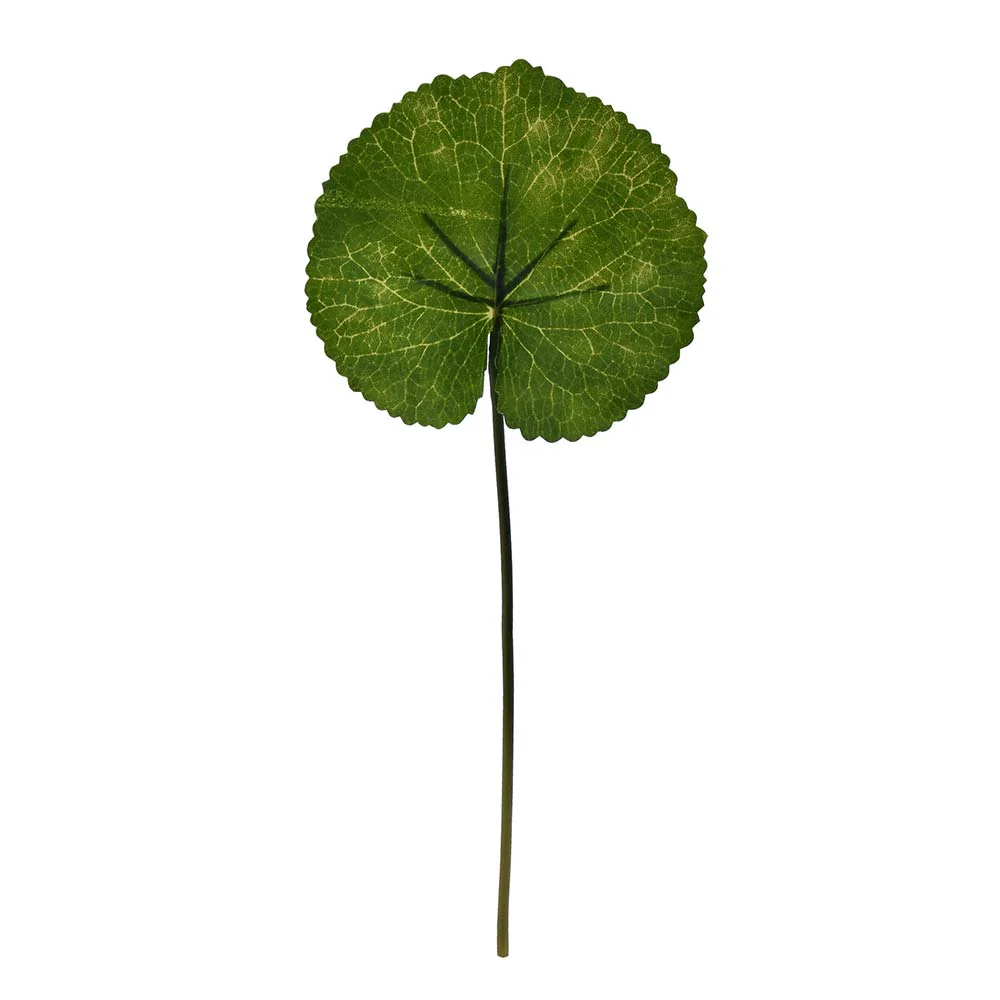 Artificial Tropical Single Leaf Green(without vase) - Image 3