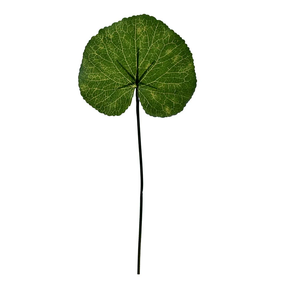 Single Stem Artificial Tropical Leaves Green(without vase) - Image 3