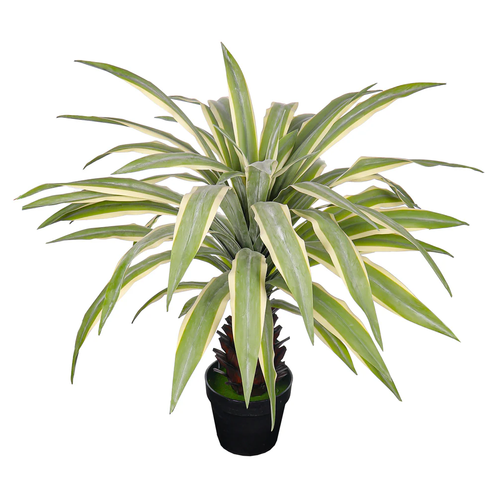Artificial Yucca Pallida Plant - Image 6
