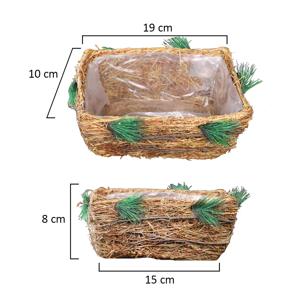 Astonishing Raffia Basket Planter box - Image 2